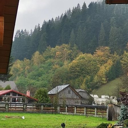 Casa De Poveste Sucevita Bagian luar foto